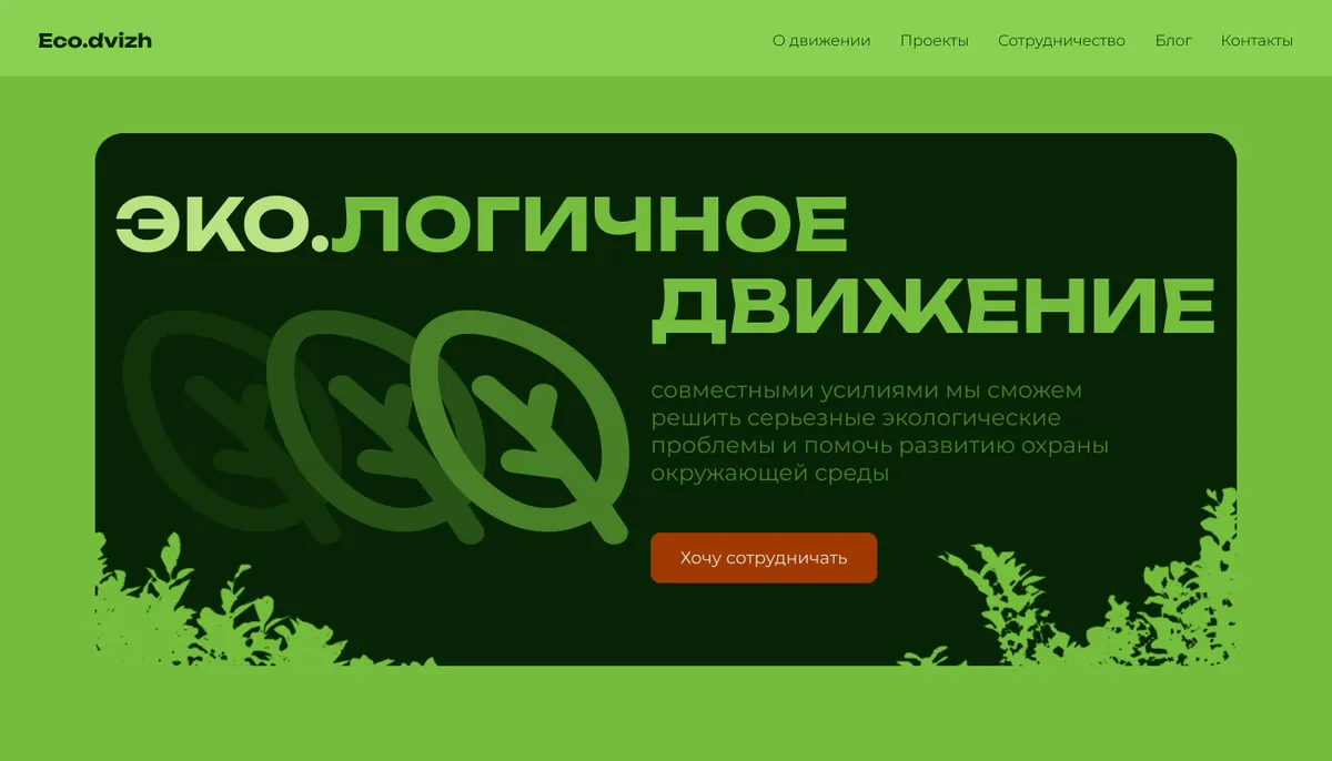 Первый экран экологического движения Eco.dvizh